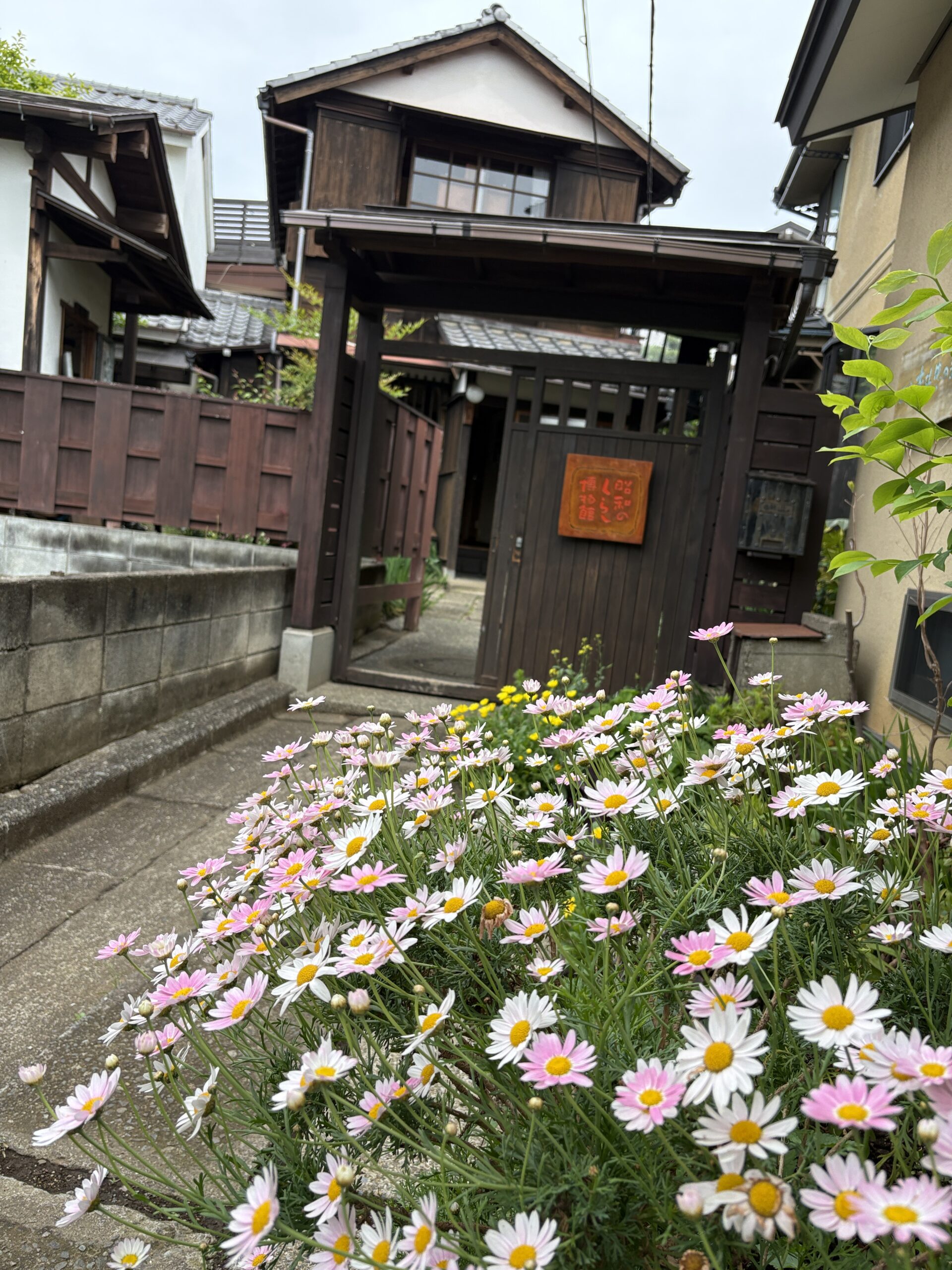 お花が楽しめるお庭