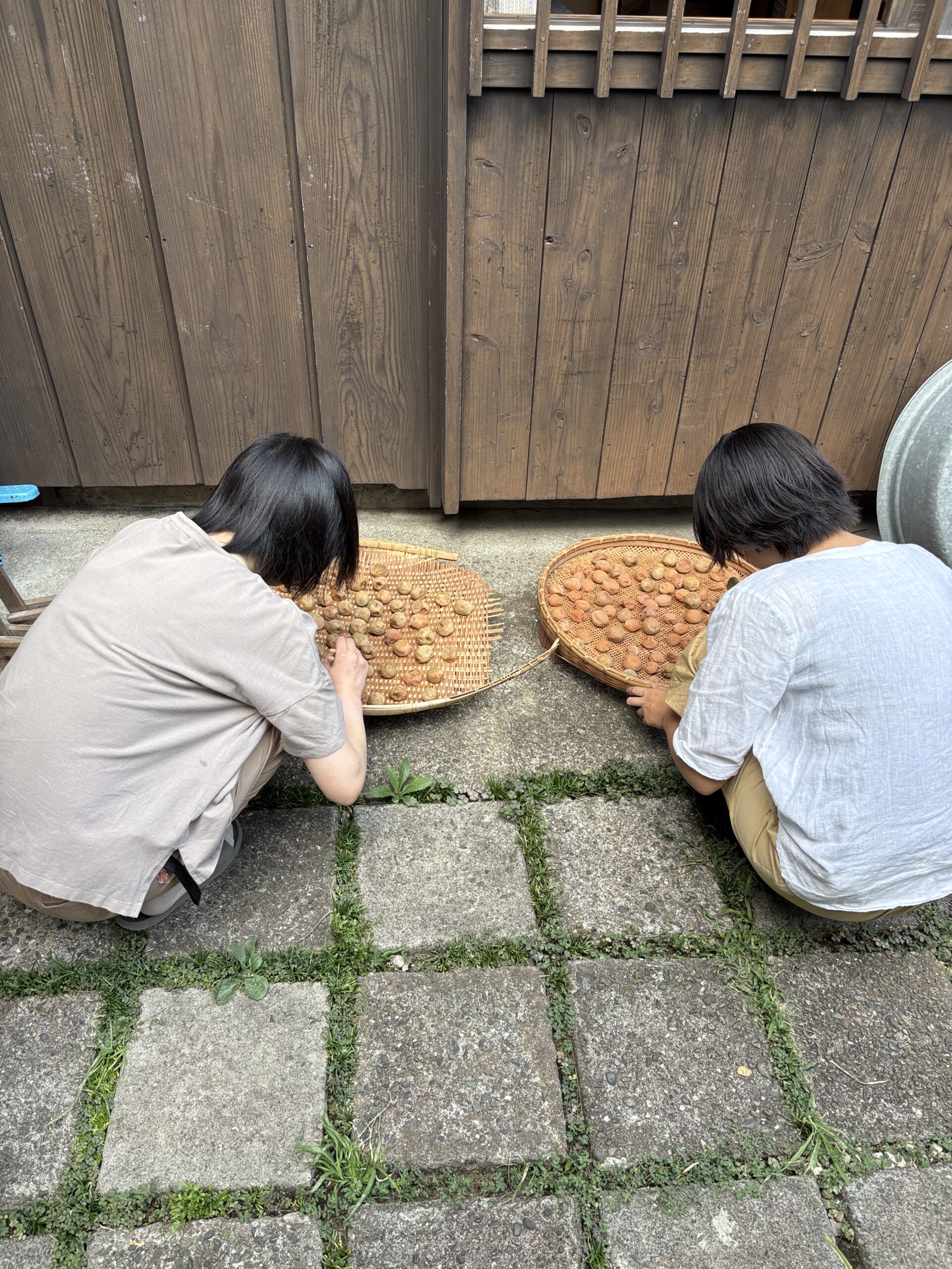 それぞれ3日目:梅干しと実習生さん