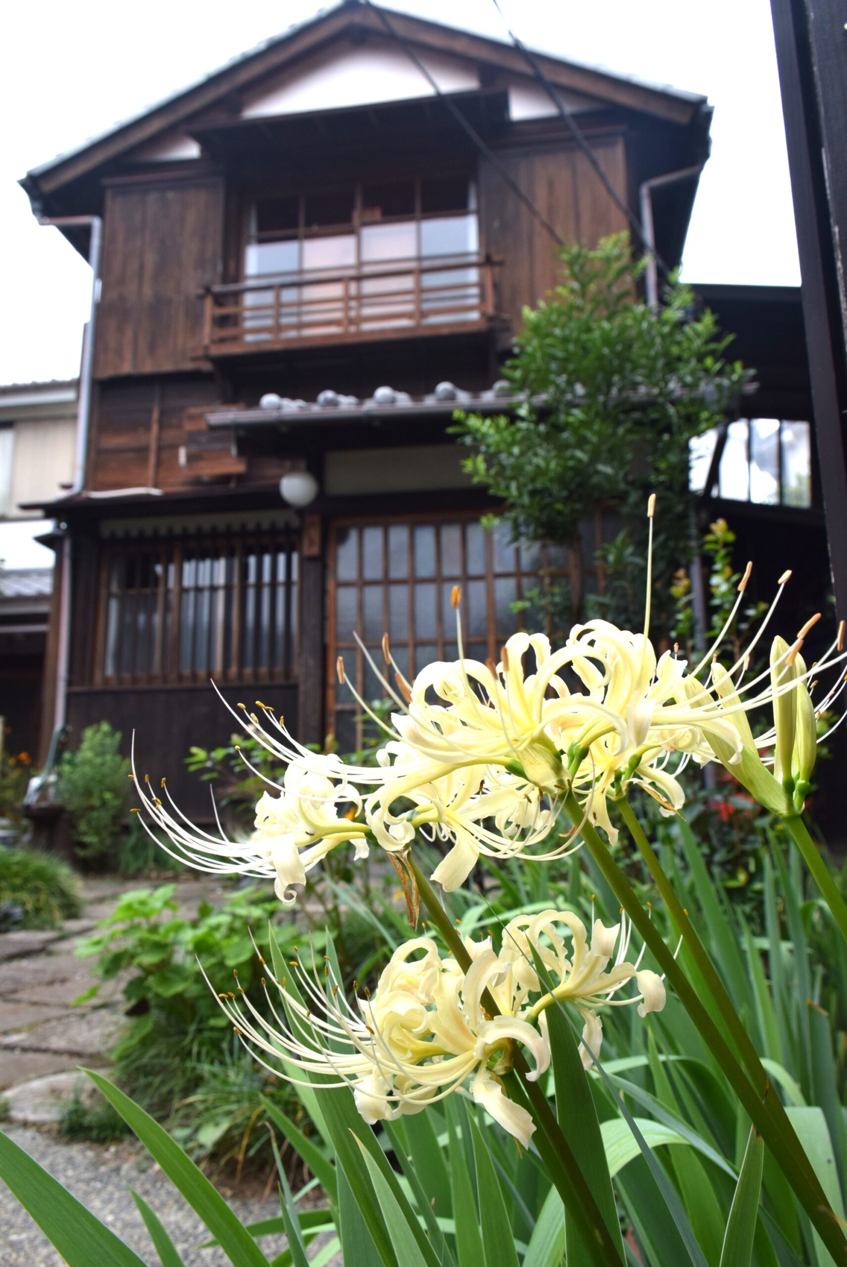 連休中の開館について